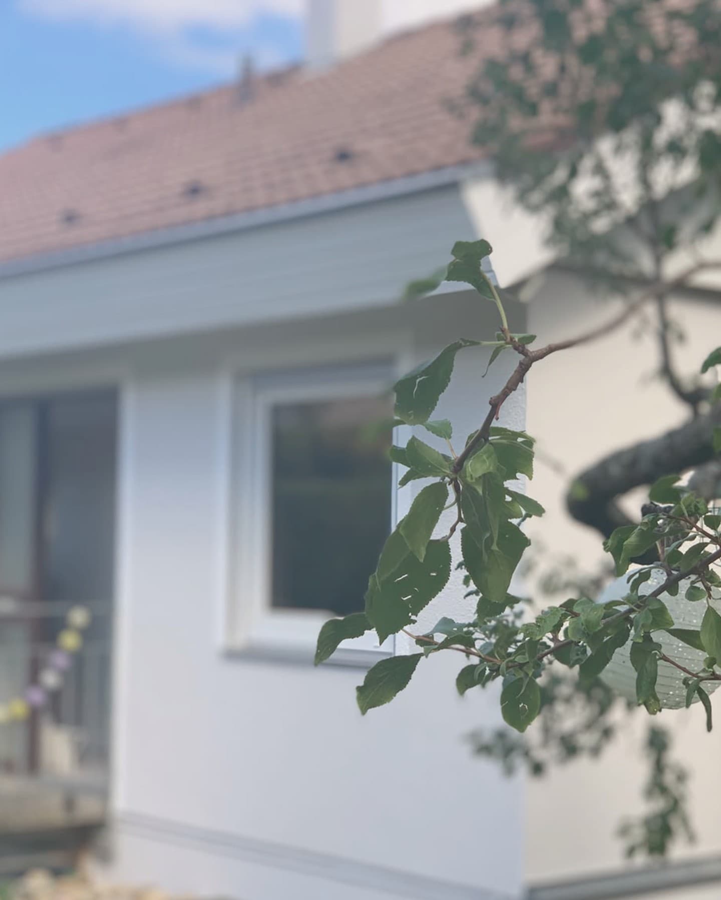 Kontakt zu Helen Loris